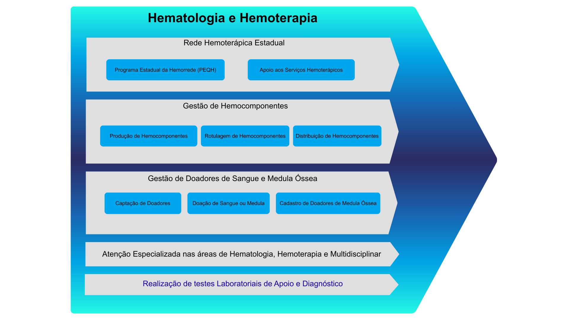 Sistema  Hematologia e Hemoterapia